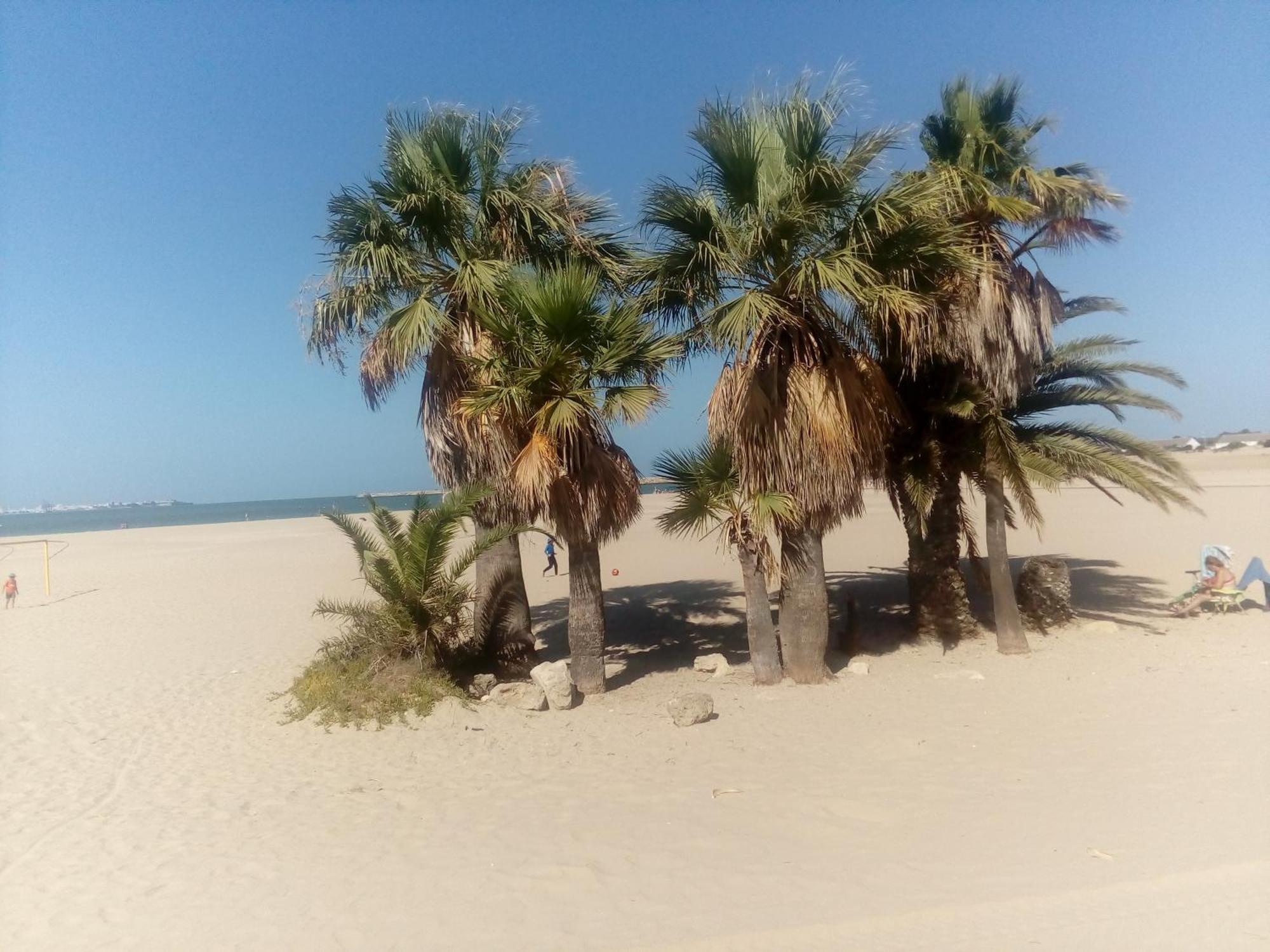 Apartamento Primera Linea De Playa Valdelagrana El Puerto de Santa María Exterior foto